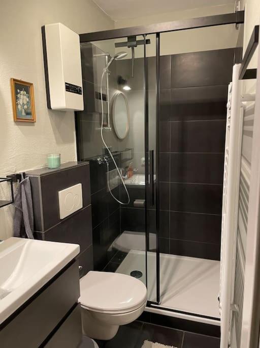 #1 Studioapartment Mit Loreleyblick Direkt An Der Schoensten Etappe Des Rheinsteigs * Patersberg